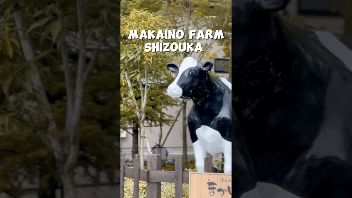 MAKAINO FARM RESORT JAPAN | MINI VLOG EP:1 #shorts #japan #travelvlog #couplegoals #couple #heylaiya
