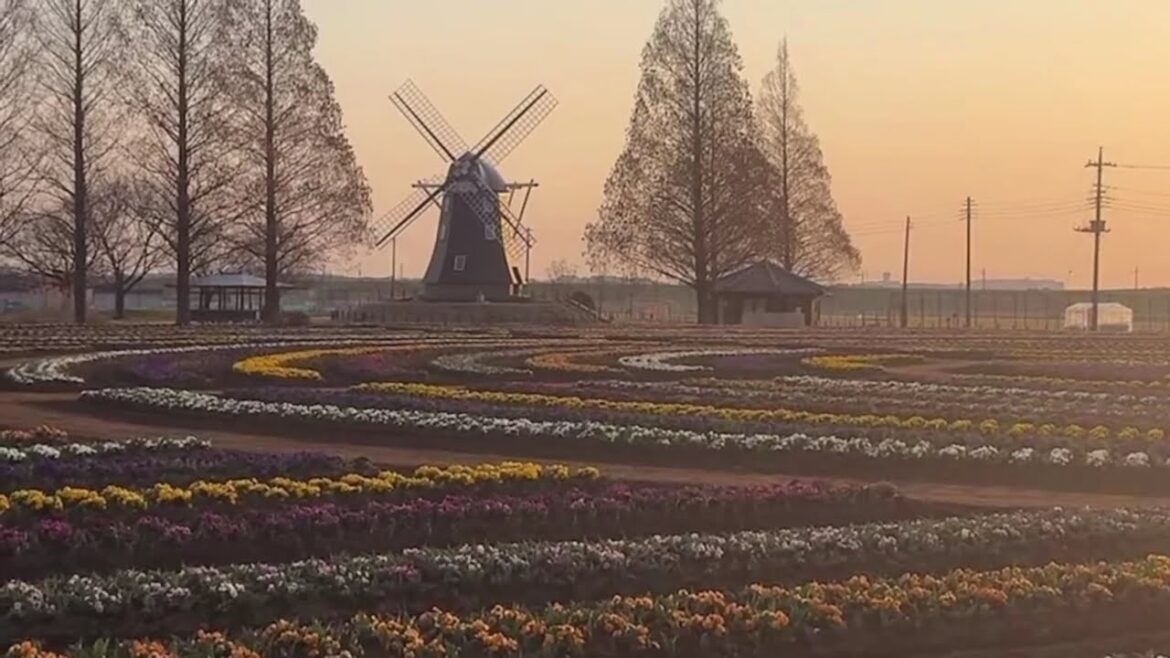 Walking Tour - Akebonoyama Agriculture Park Kashiwa City, Chiba, Japan