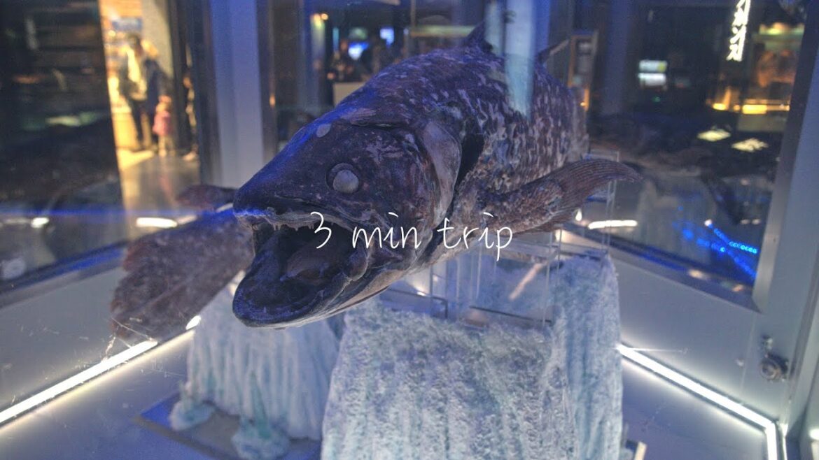 【3 min trip】Numazu Deep Sea Aquarium/Shizuoka, Japan