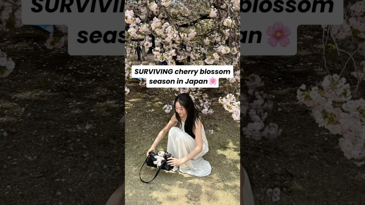 Things I wished I knew before visiting Japan for Cherry Blossom season 🤧 #japan