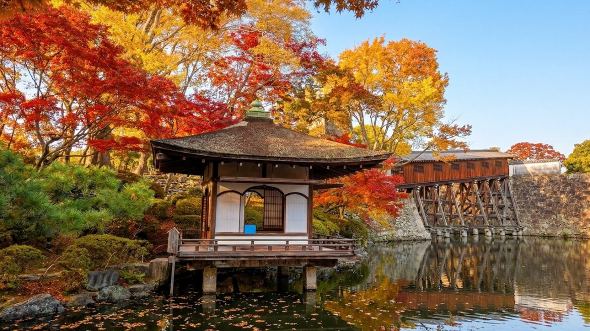 Wakayama Japan Walking Tour 4K | Hidden Gems & Local Life