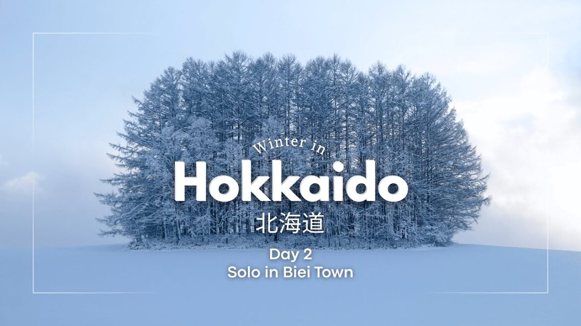 Solo Travel in the snowy Biei Town | Winter in Hokkaido Japan Vlog Part 3 in 4k
