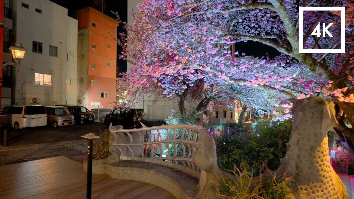 Japan - Atami Sakura 2026: Sunset Walking Tour & Night Illumination | 4K HDR
