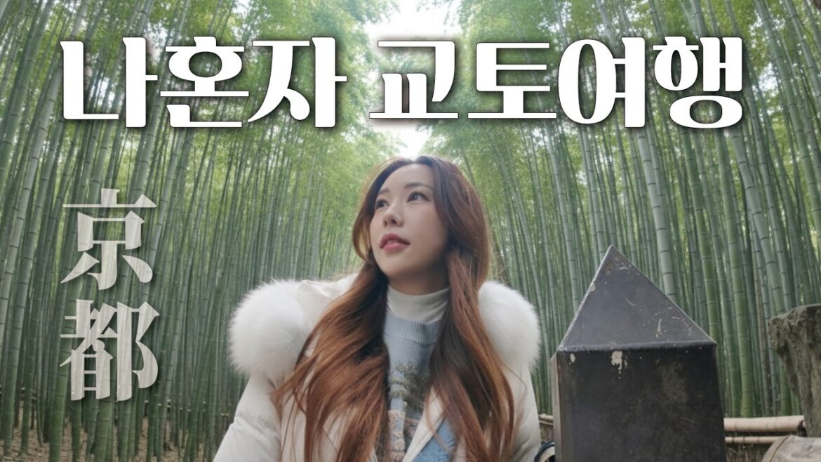 나혼자 일본 교토 여행🏮 교토 당일치기도 가능해요