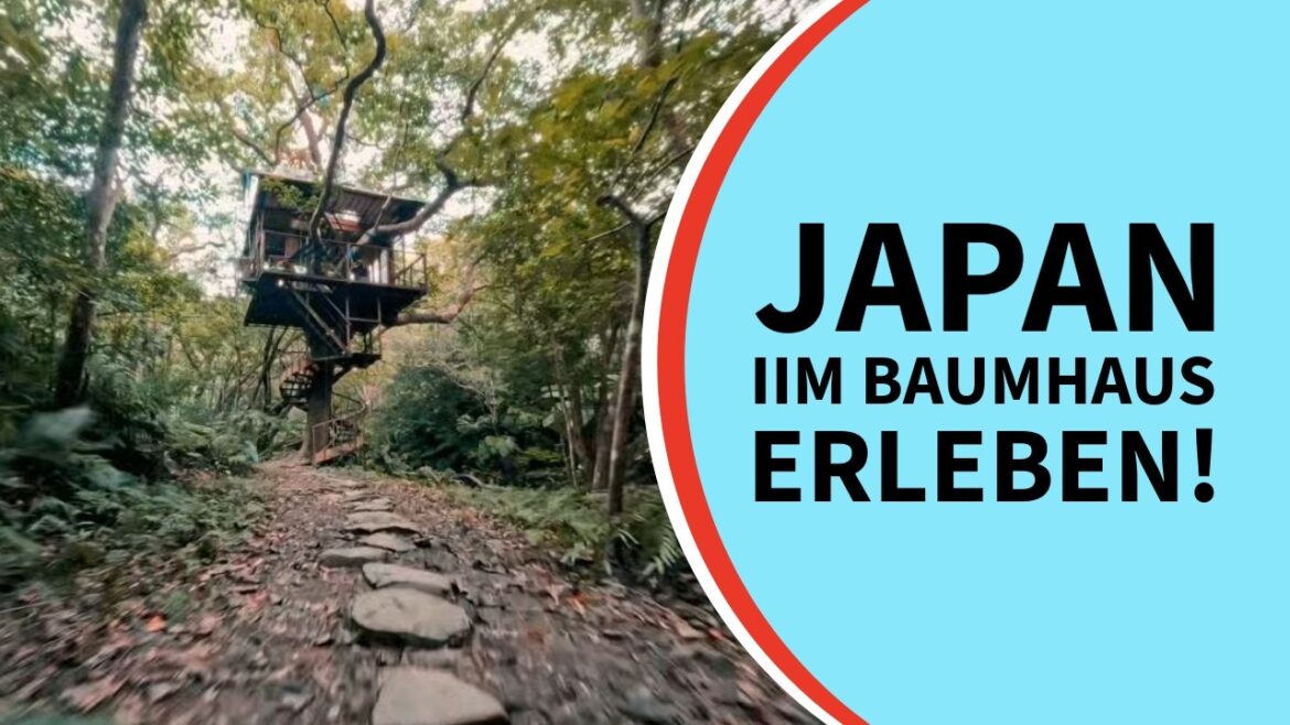 JAPAN im Baumhaus erleben!