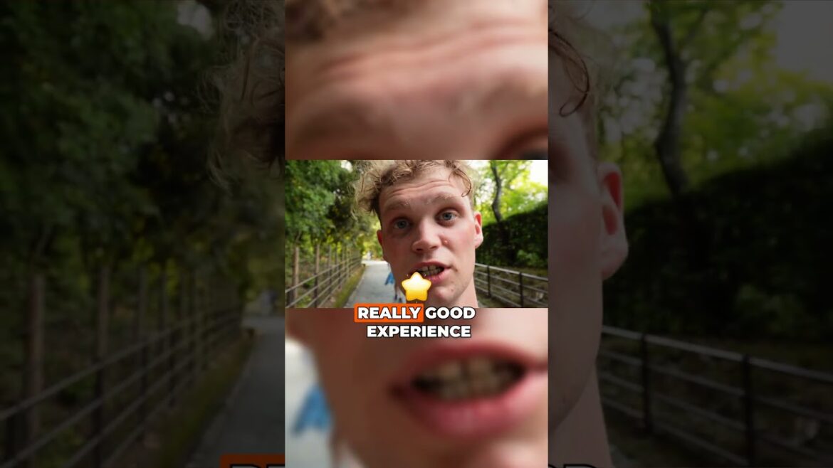 Japan is Surprisingly Cheap