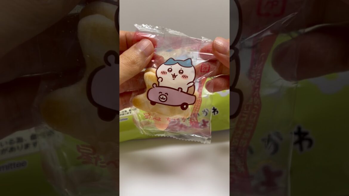 🍘Chiikawa Hoshi Tabeyo Hachiware #shorts