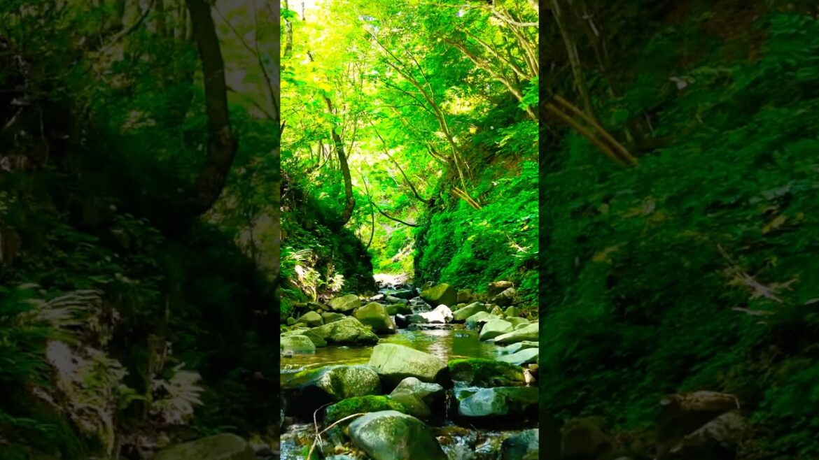 fun places to go in japan #japan #vanlife #solotravel