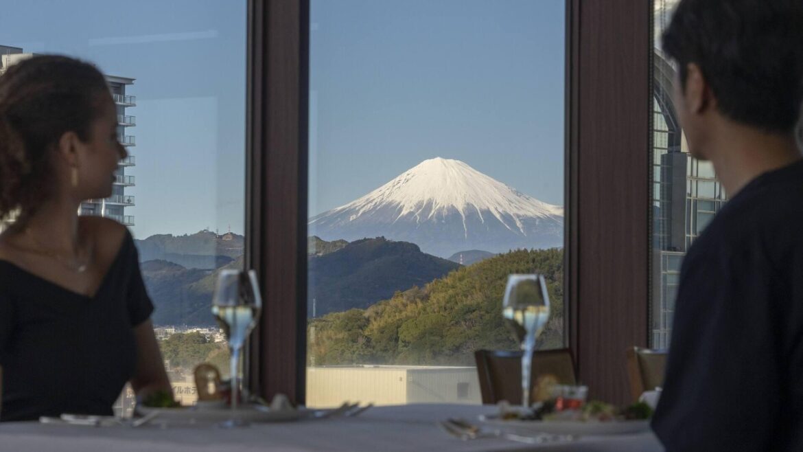 Hotel Associa Shizuoka, Japan | Travel With Yashvi