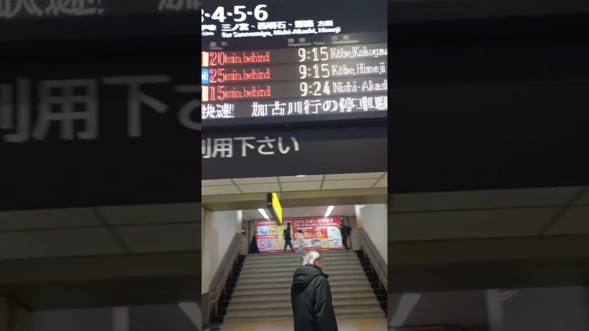 trip to kobe 🇯🇵 #shorts #japan #fyp #japantravel #travel #japanlife #japantrip #kobe #japanvlog