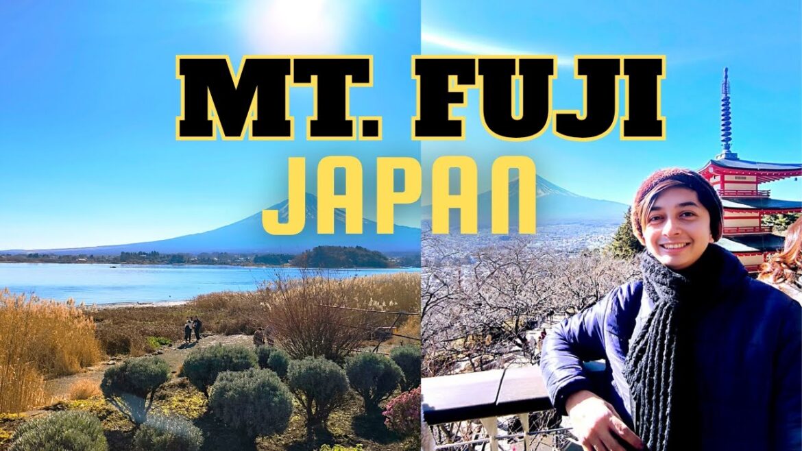 MT FUJI JAPAN DAY TOUR | Arakurayama Sengen Park, Hikawa Clock Shop, Kawaguchiko π» #mtfuji MT FUJI JAPAN DAY TOUR | Arakurayama Sengen Park, Hikawa Clock Shop, Kawaguchiko π» #mtfuji