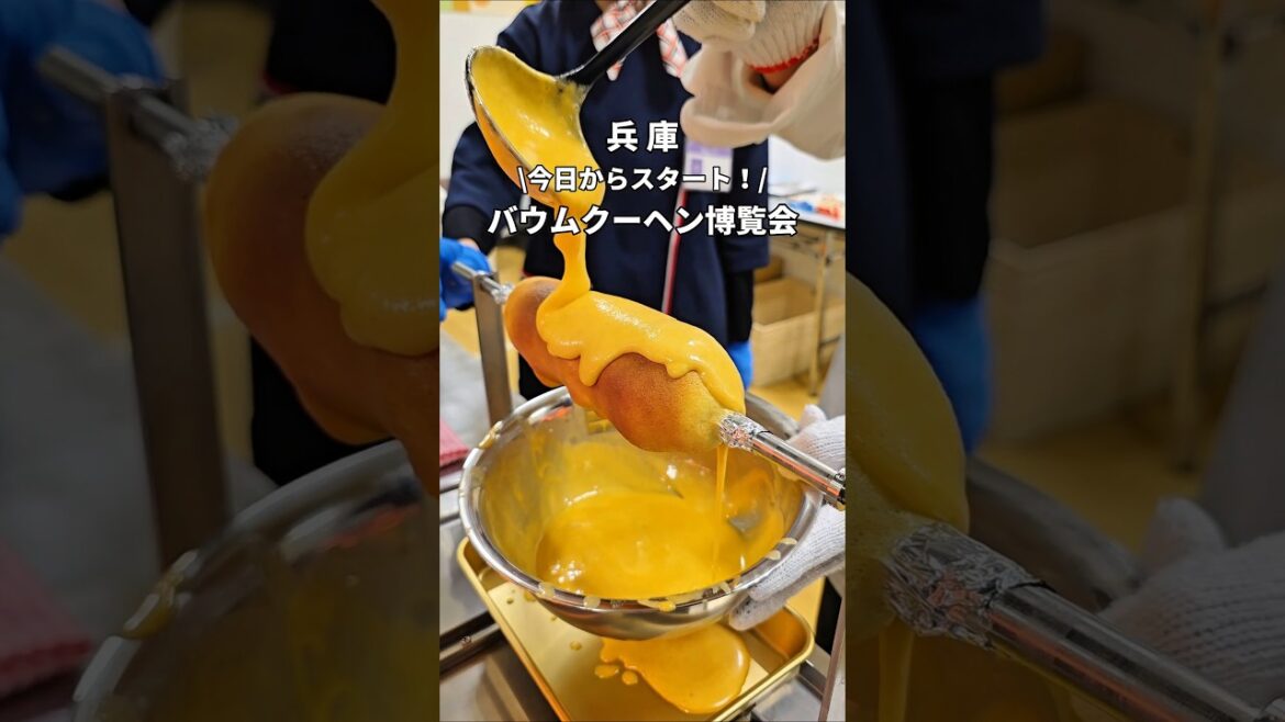 【3月4日スタート】全国各地のバウムクーヘンが大集合‼️バウムクーヘン博覧会2026開幕🔥