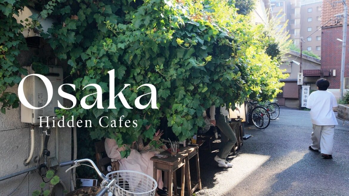 exploring osaka cafes 🇯🇵 | hidden gems, street food & city vibes exploring osaka cafes 🇯🇵 | hidden gems, street food & city vibes