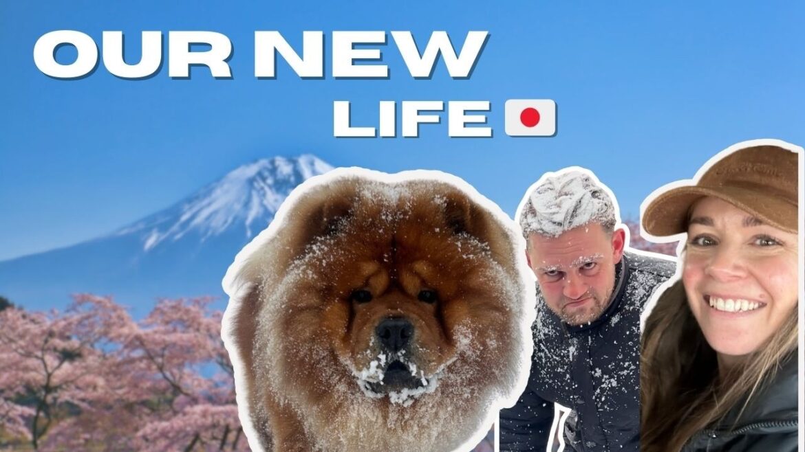 Moving to Japan from the UK | 6 Days of Travel to Hokkaido!
