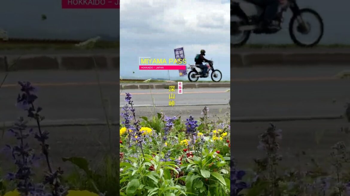 ⛰️🪻 Winds Across the Hills: Atop Miyama Pass