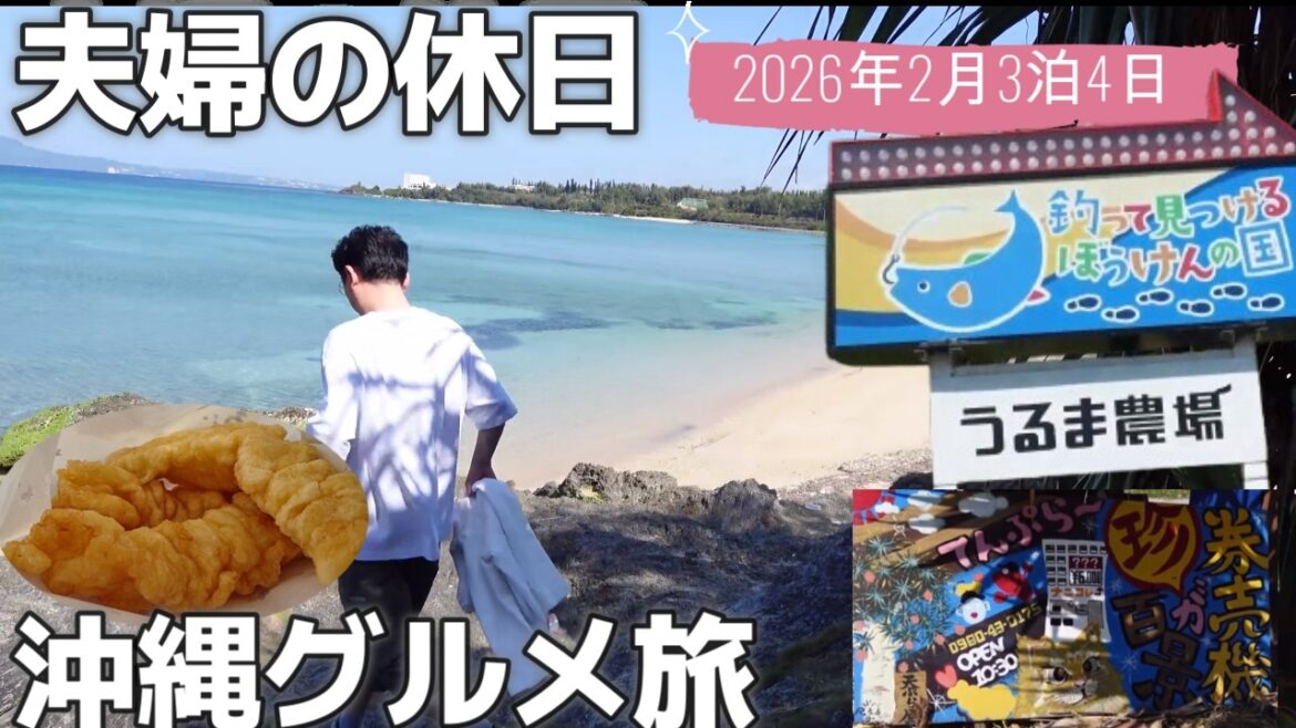 沖縄3泊4日旅🚗沖縄県うるま農場|名護市てんぷら屋ぁ~|絶景美味しいもの探し沖縄グルメ観光50代夫婦旅行vlog 沖縄3泊4日旅🚗沖縄県うるま農場|名護市てんぷら屋ぁ~|絶景美味しいもの探し沖縄グルメ観光50代夫婦旅行vlog
