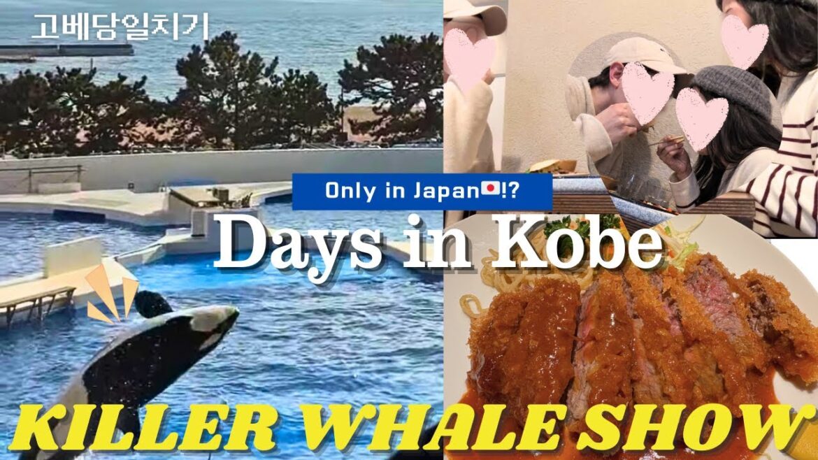 Vlog | Killer Whale Show in Japan 🇯🇵 | Day Trip to Kobe from Osaka & Chinatown