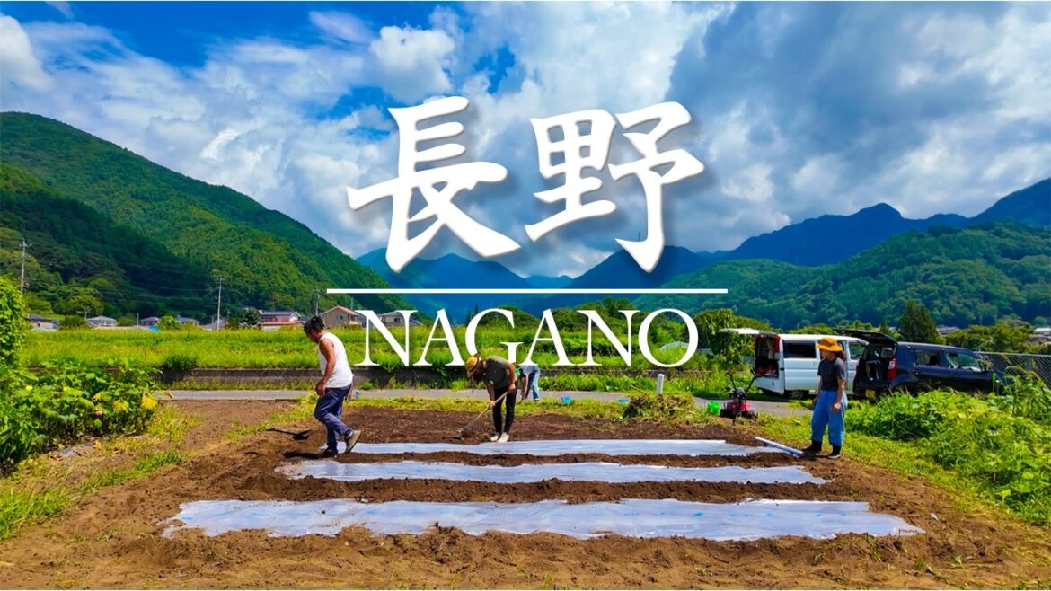 Nagano, Japan 🇯🇵 – Hot Summer Days | Japan Slow Trip