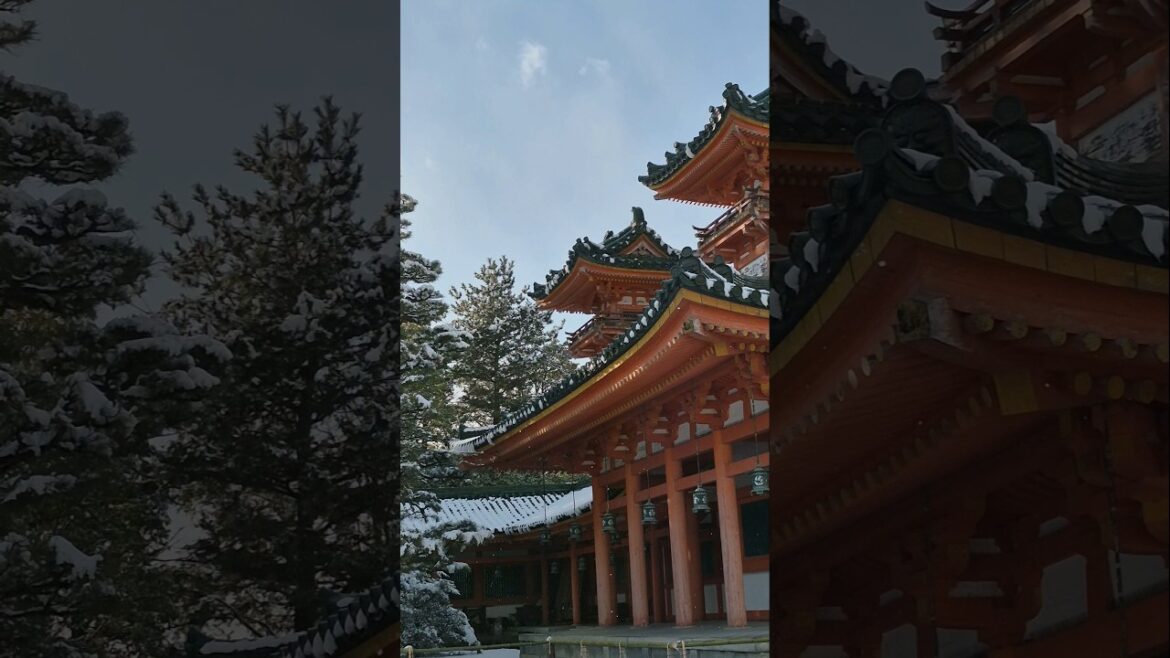 Silent Snowfall in Kyoto #japan #kyoto #cinematic #snowfall