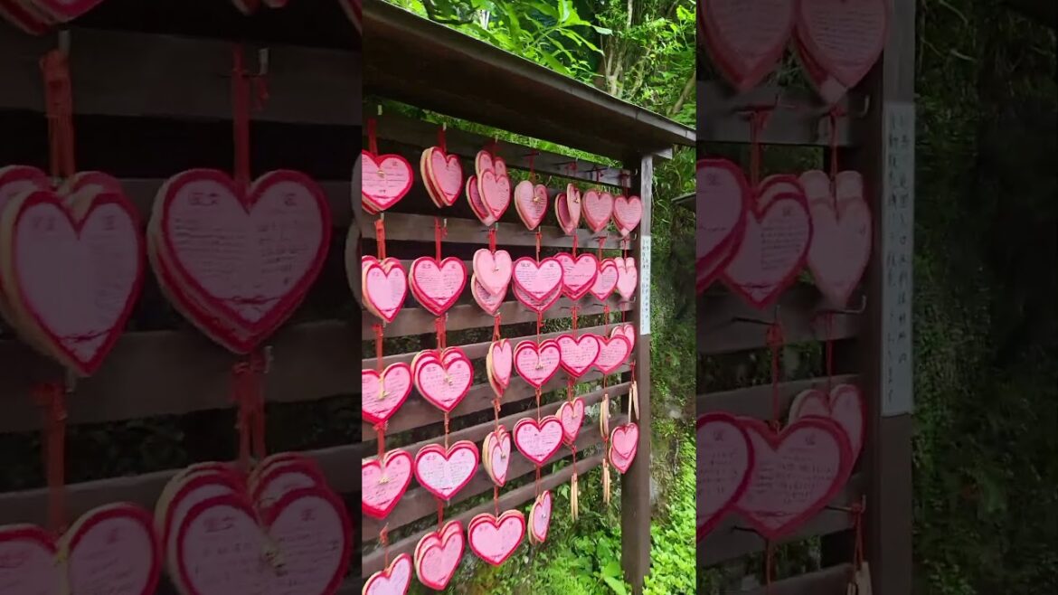 Tenseien Hot Spring Hakone #tourguiding #japantouristguide #japantravelguide #tourguideservice