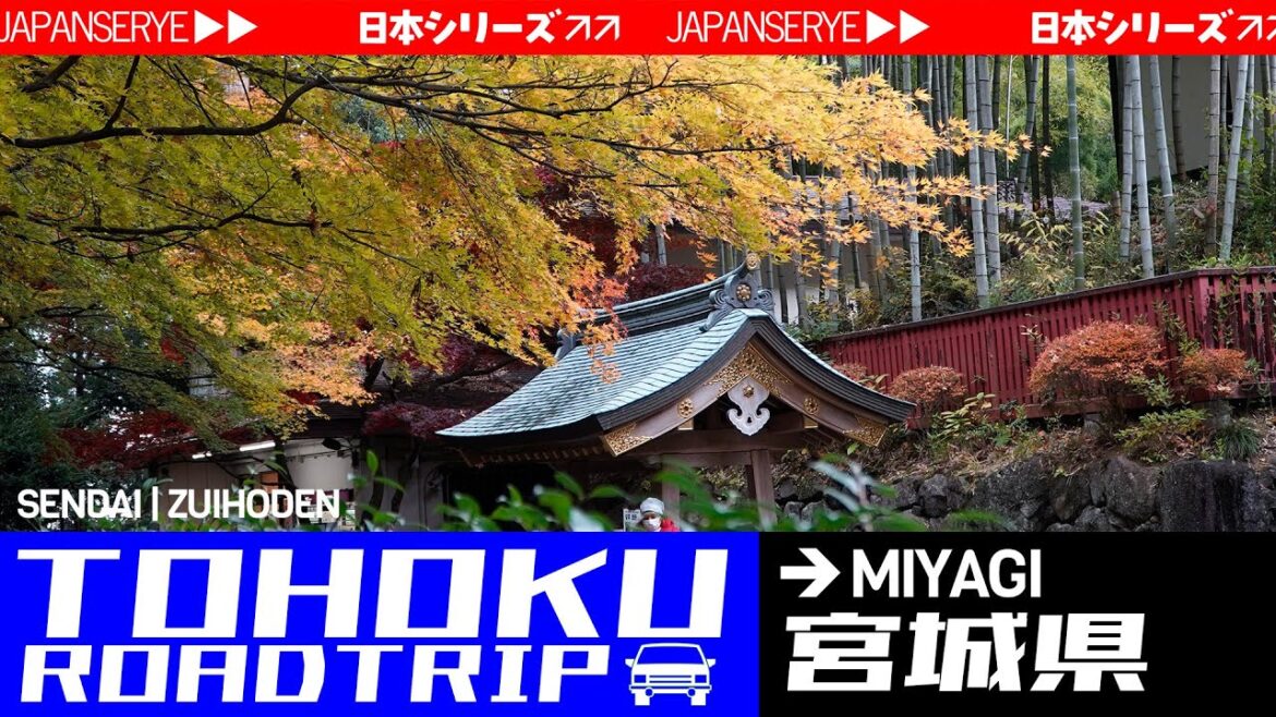 Tohoku Roadtrip: Sendai (Zuihoden) | Miyagi, Japan | November 2025 | JapanSerye