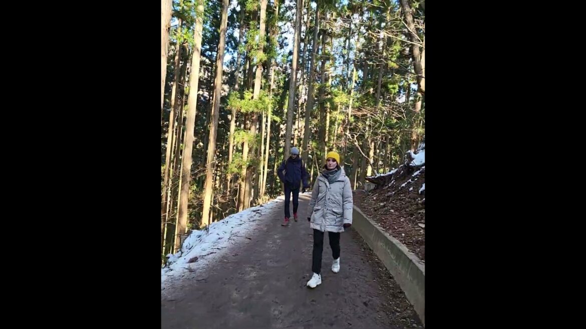 Jigokudani Snow Monkey Park Nagano Trekking #japantouristguide #tourguiding ##alttravels #jptravels