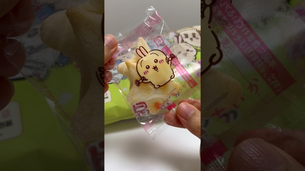 🍘Chiikawa Hoshi Tabeyo Usagi #shorts