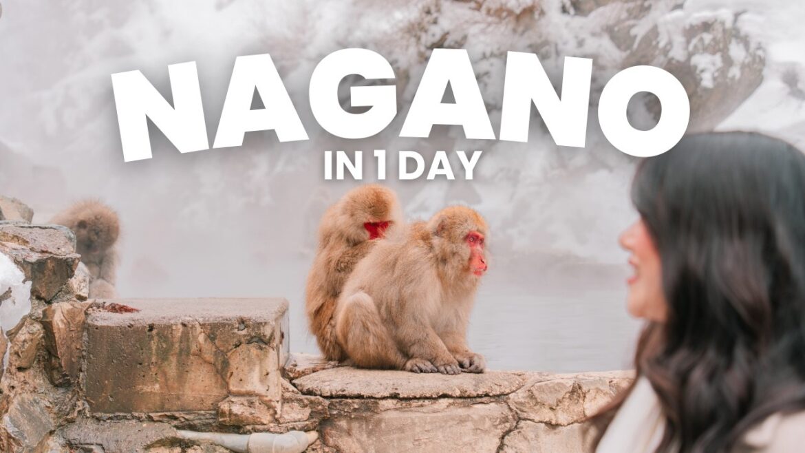 1 Day in Nagano 🇯🇵 | Japan's Snow Monkeys & Matsumoto Castle