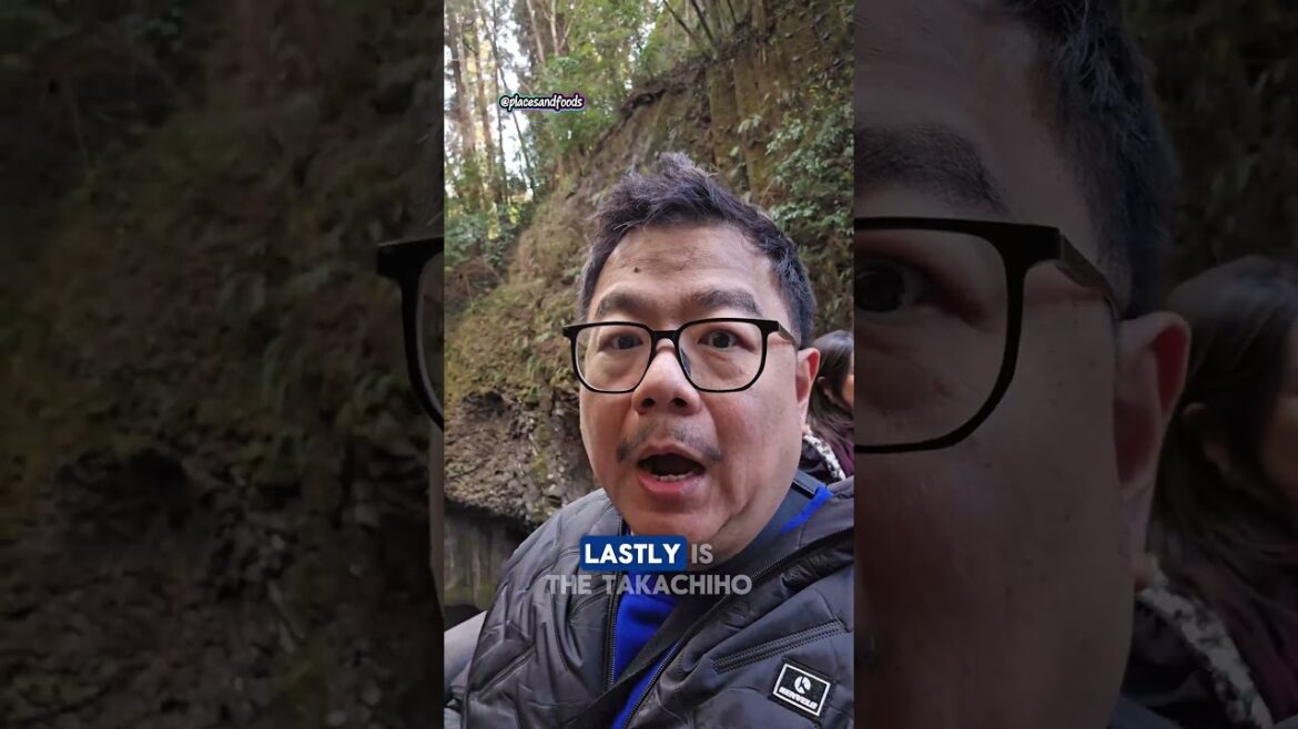 Kyushu Miyazaki Day Tour from Fukuoka