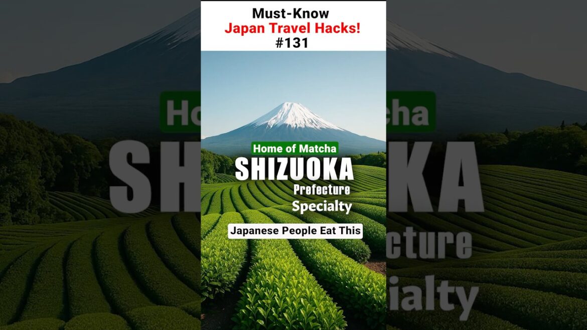 [SHIZUOKA Specialty] Japanese People Eat This!