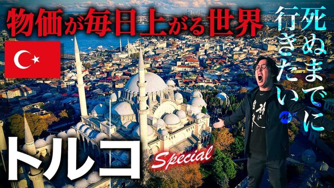 【これが真実】世界一の親日国トルコは日本人が楽しめる？物価は安い？高い？🇹🇷はじめてのイスタンブール・アンカラ7泊8日【旅行・観光・グルメ】