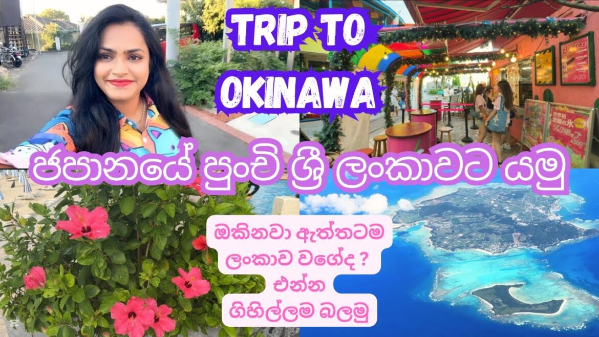 හැමෝම ලංකාව වගේ කියන ජපන් දුපතට මමත් ගියා 🇯🇵 My Trip to Okinawa Feels Like Home 🇱🇰