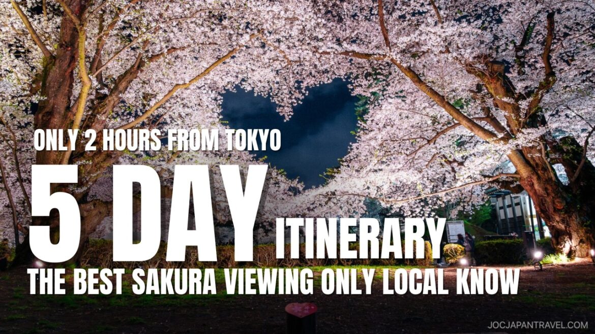 ESCAPE Tokyo CROWD in MARCH | This is 5 DAYS Japan's BEST SPOT for Cherry Blossoms Viewing