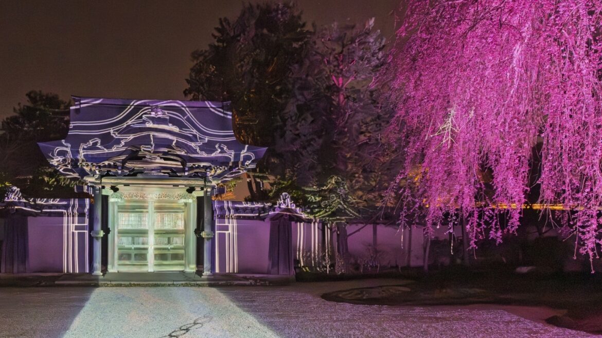 Kodaiji Temple: Spring Night Special Viewing, Kyoto | Kodaiji Temple, Kyoto Loading animation