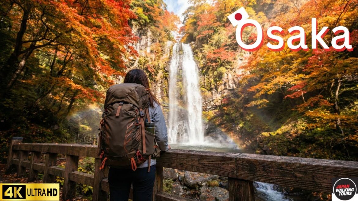 [4K HDR]  🇯🇵Osaka Minoh Great Waterfall Walking Tour - Best Autumn Leaves Spot
