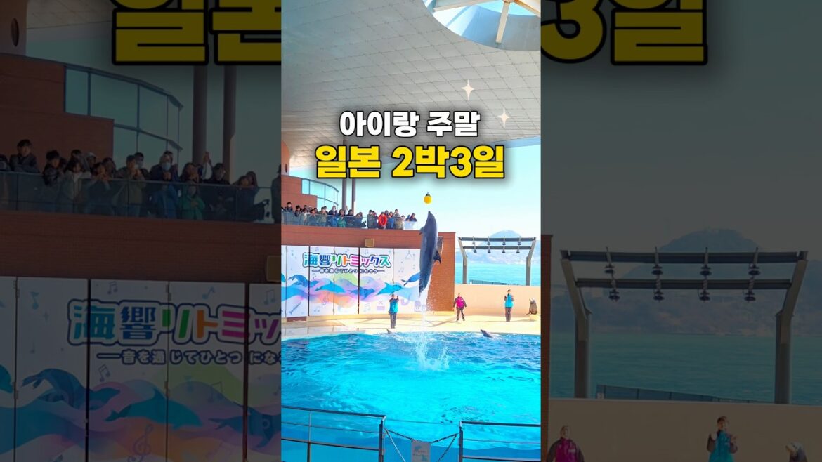 가성비 너무 좋은 2박3일 일본여행 특가🔥🔥 3/13 오전11시 오픈!! 알림 원하시면 댓글 남겨주세요! 자세한 정보는 게시물or댓글 확인📌 가성비 너무 좋은 2박3일 일본여행 특가🔥🔥 3/13 오전11시 오픈!! 알림 원하시면 댓글 남겨주세요! 자세한 정보는 게시물or댓글 확인📌