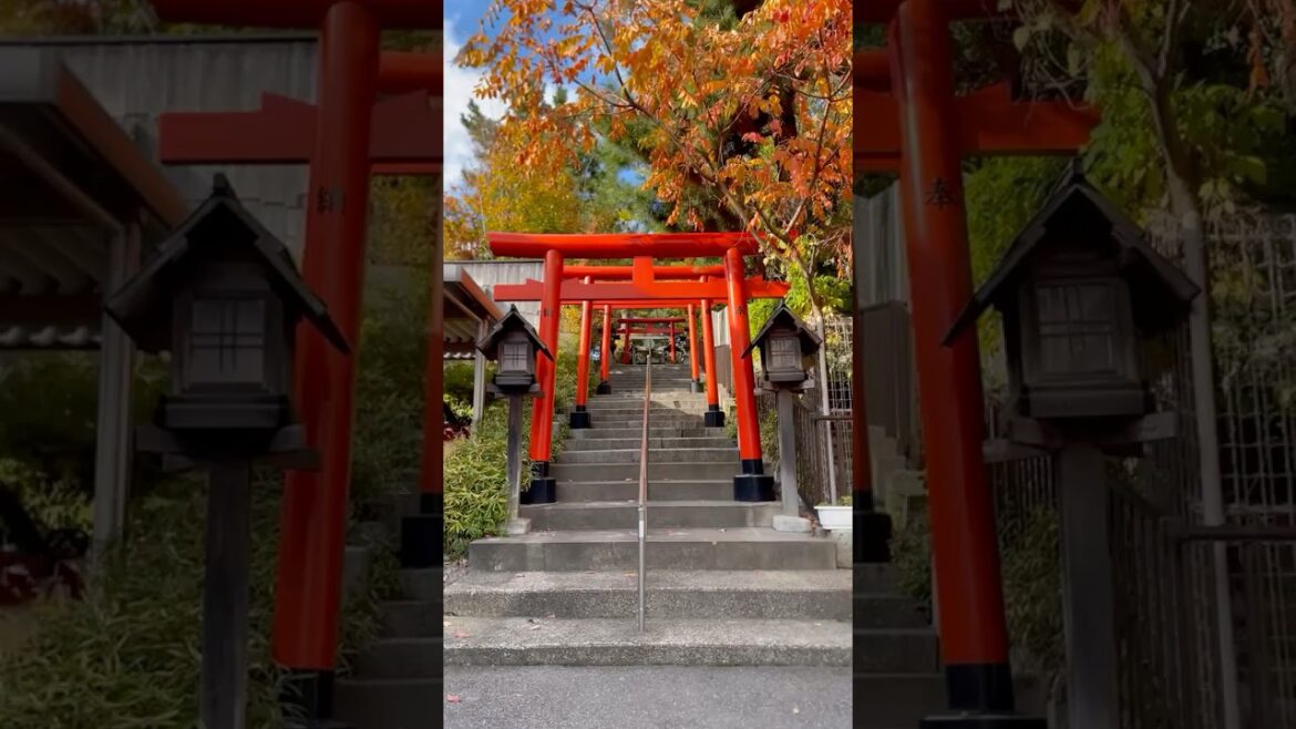 Two Sacred Paths in Niigata: Ohayashi Inari’s Torii & the Graceful Approach to Niigata Daijingu Two Sacred Paths in Niigata: Ohayashi Inari’s Torii & the Graceful Approach to Niigata Daijingu