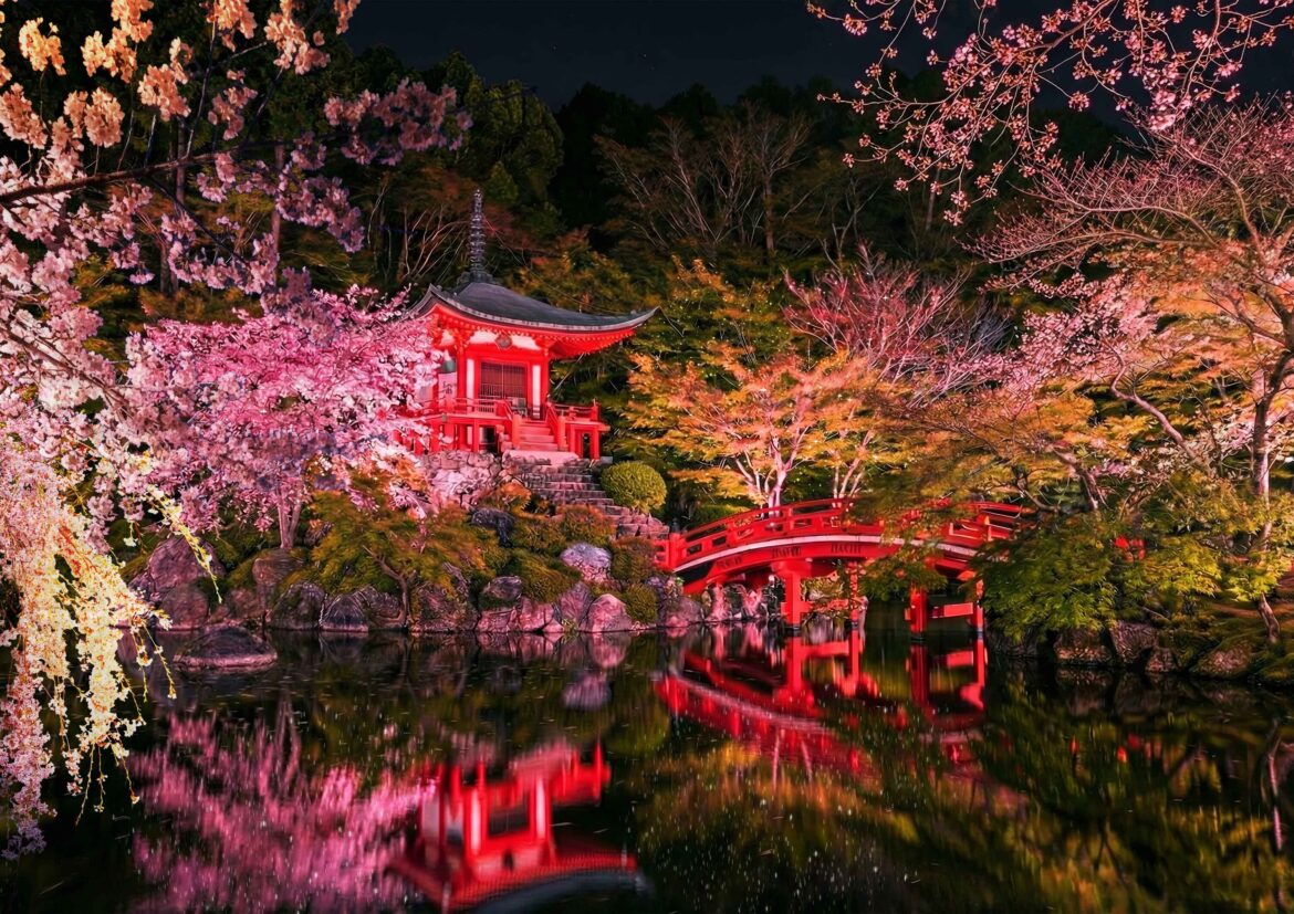 Daigoji Temple Cherry Blossom Illumination, Kyoto | Daigoji Temple, Kyoto