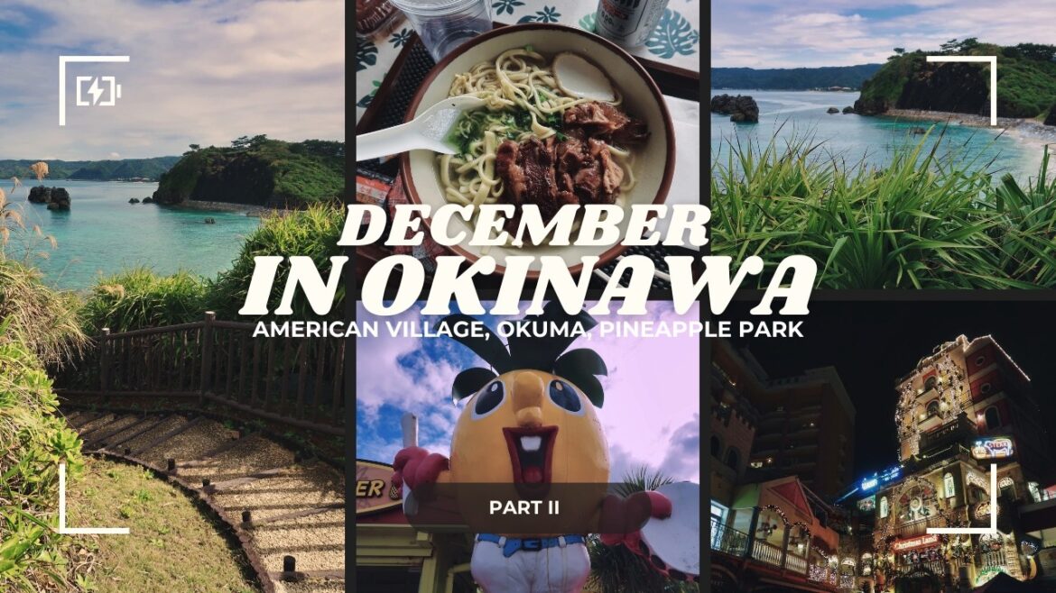 Okinawa Christmas Adventure 🎄🌴 | Zip-lining Onna, Diamond Beach, Kokusai Dori Eats! ✨ [Part II]