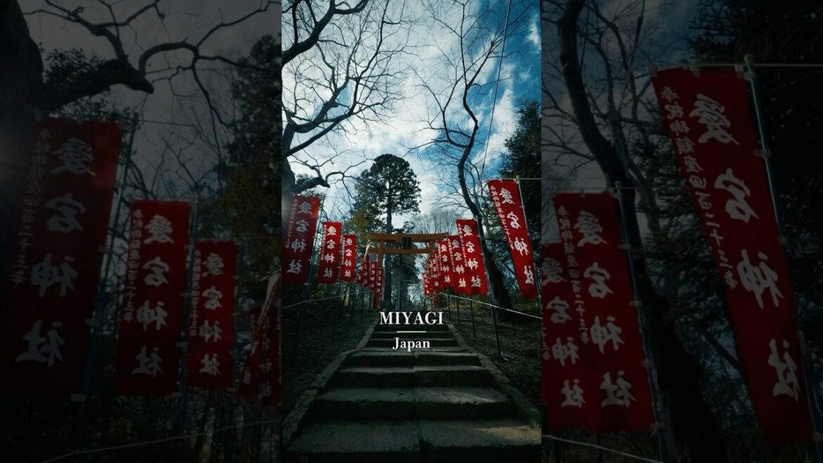 The Hidden Forest Shrine in Japan ⛩️ Sendai Atago Shrine #shorts