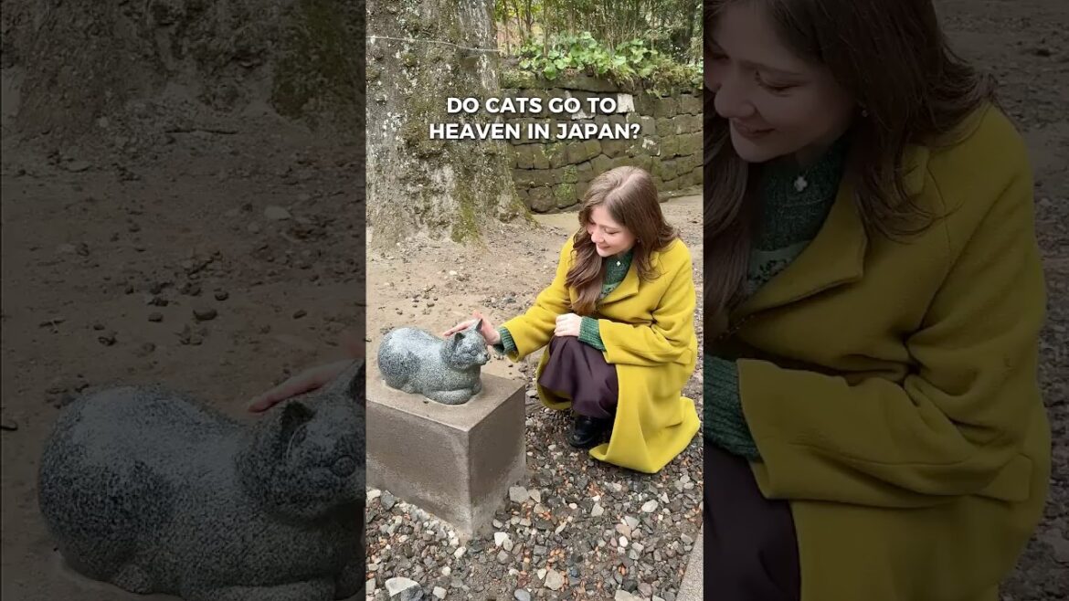 Wait…cats become gods in Japan?