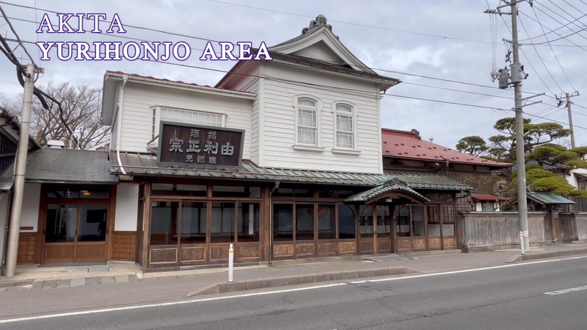 【AKITA】🇯🇵YURIHONJO AREA