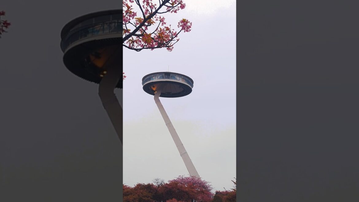 Japan 2025 Highlights