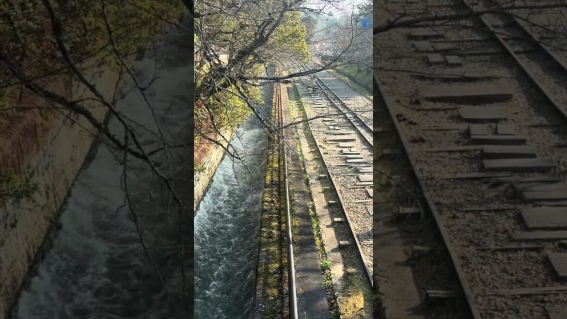 Kalm Kyoto #kyoto #travel #solotravel