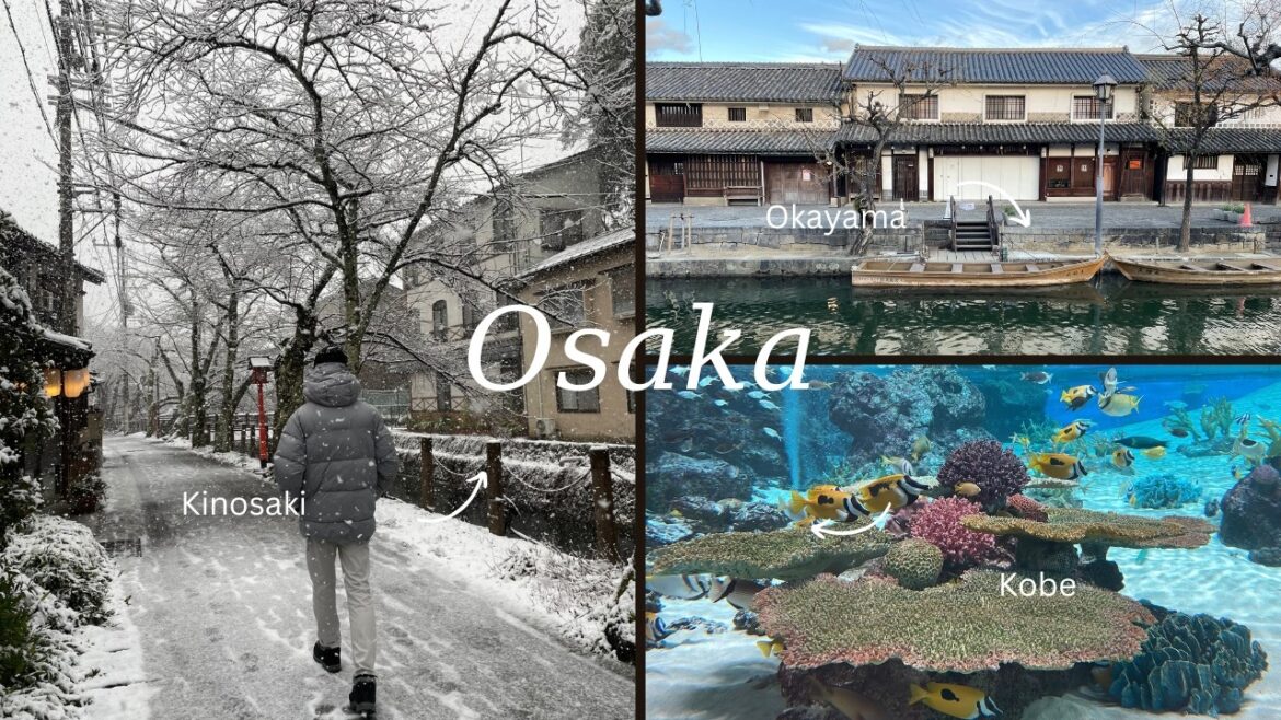 6 days in Osaka, Okayama, Kobe, Kinosaki 🇯🇵 | Itineraries, Foods & JR Rail Pass | Japan Travel Vlog