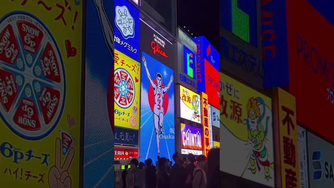 The next station is Osaka 🇯🇵🌃✨