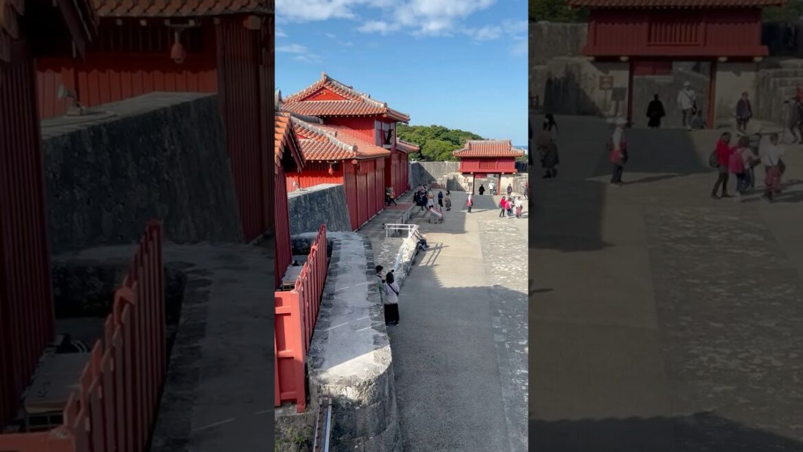 首里城再建中　Road to Revival Shuri Castle   #okinawa #castle