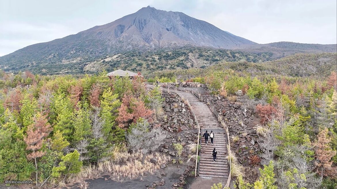 Sakurajima Mountain 桜島 DR.ONE FLY AROUND DRONE REVIEW @ Sakurajimaakamizucho Kagoshima Japan 🇯🇵 Sakurajima Mountain 桜島 DR.ONE FLY AROUND DRONE REVIEW @ Sakurajimaakamizucho Kagoshima Japan 🇯🇵