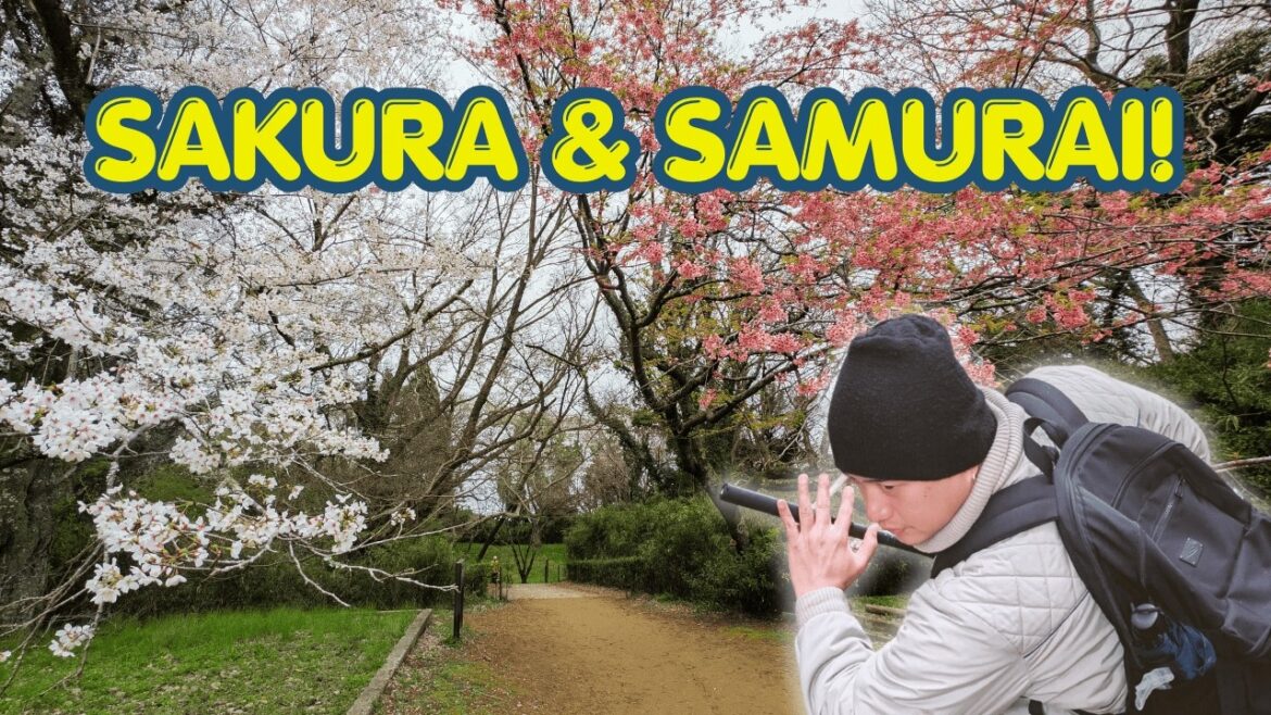 SAMURAI & SAKURA! Narita Chiba Japan Travel Guide 🇯🇵