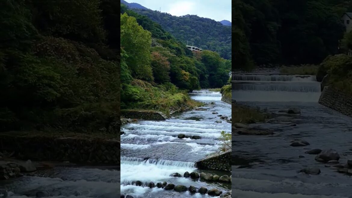 Explore the MOST BEAUTIFUL Waterfalls & Calm Cascading Waterfalls of Hakone #Waterfalls